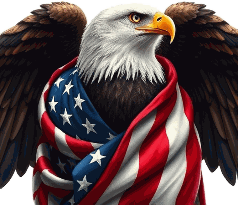 A bald eagle draped in the American flag